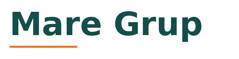 Mare Grup logo